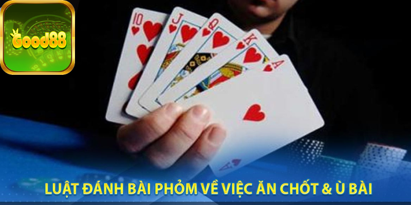 Một số thuật ngữ anh em cần phải biết trong Luật đánh bài Phỏm online